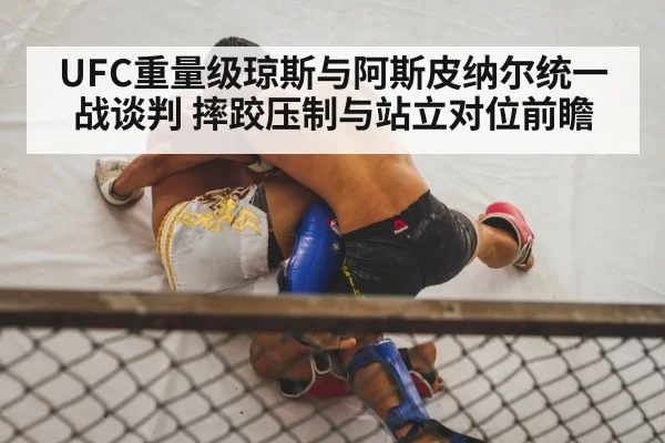 MMA wrestling takedown octagon