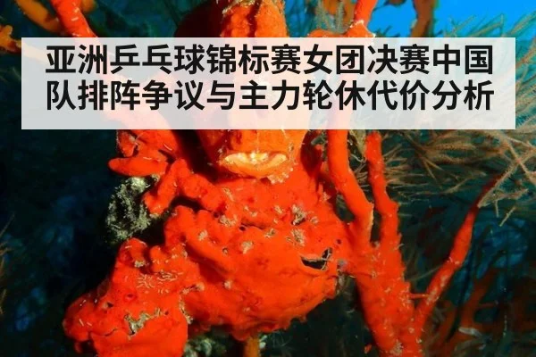 亚洲乒乓球锦标赛女团决赛中国队排阵争议与主力轮休代价分析